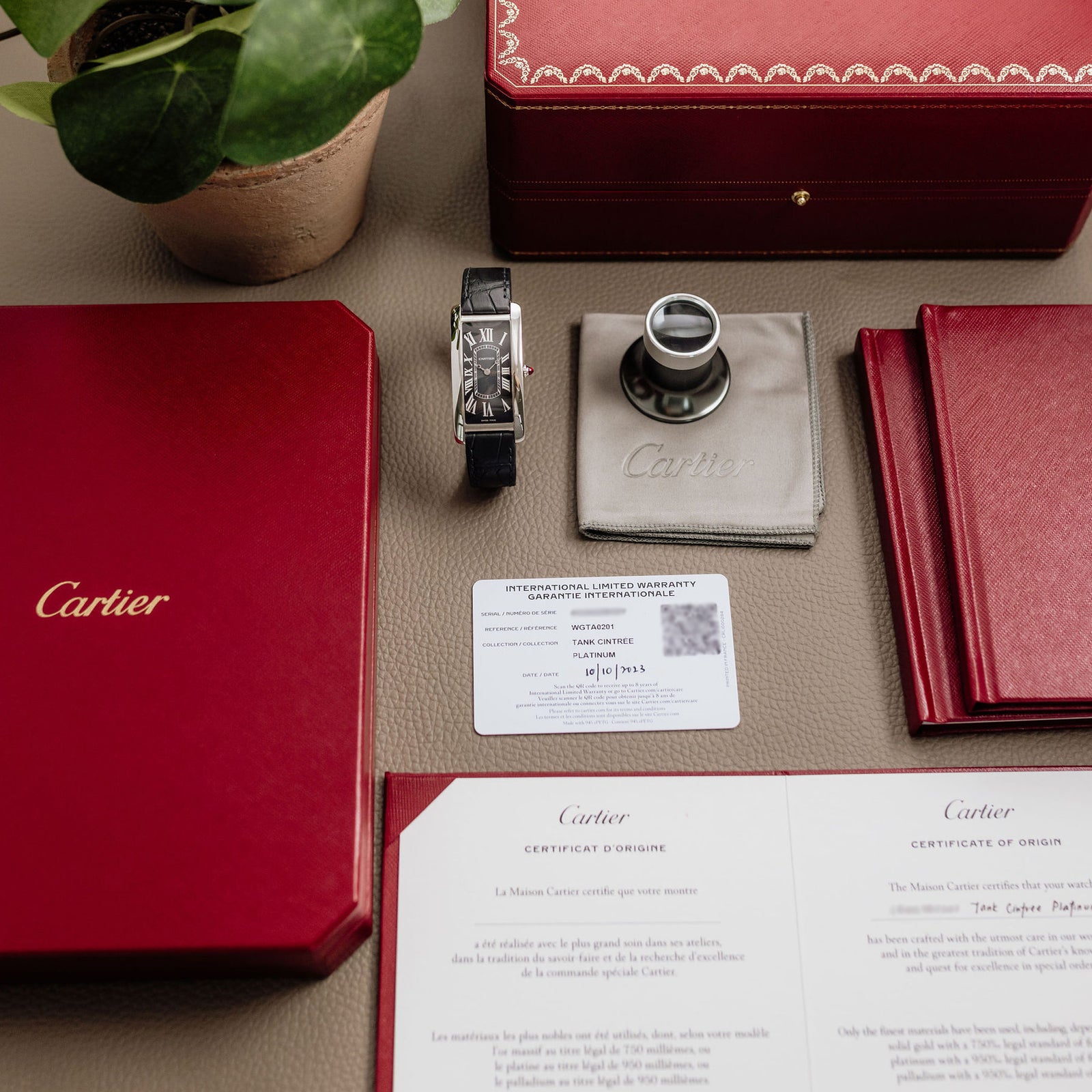 Cartier Tank Cintrée NSO - Platinum - Grey Fumé dial – Mr Watchley